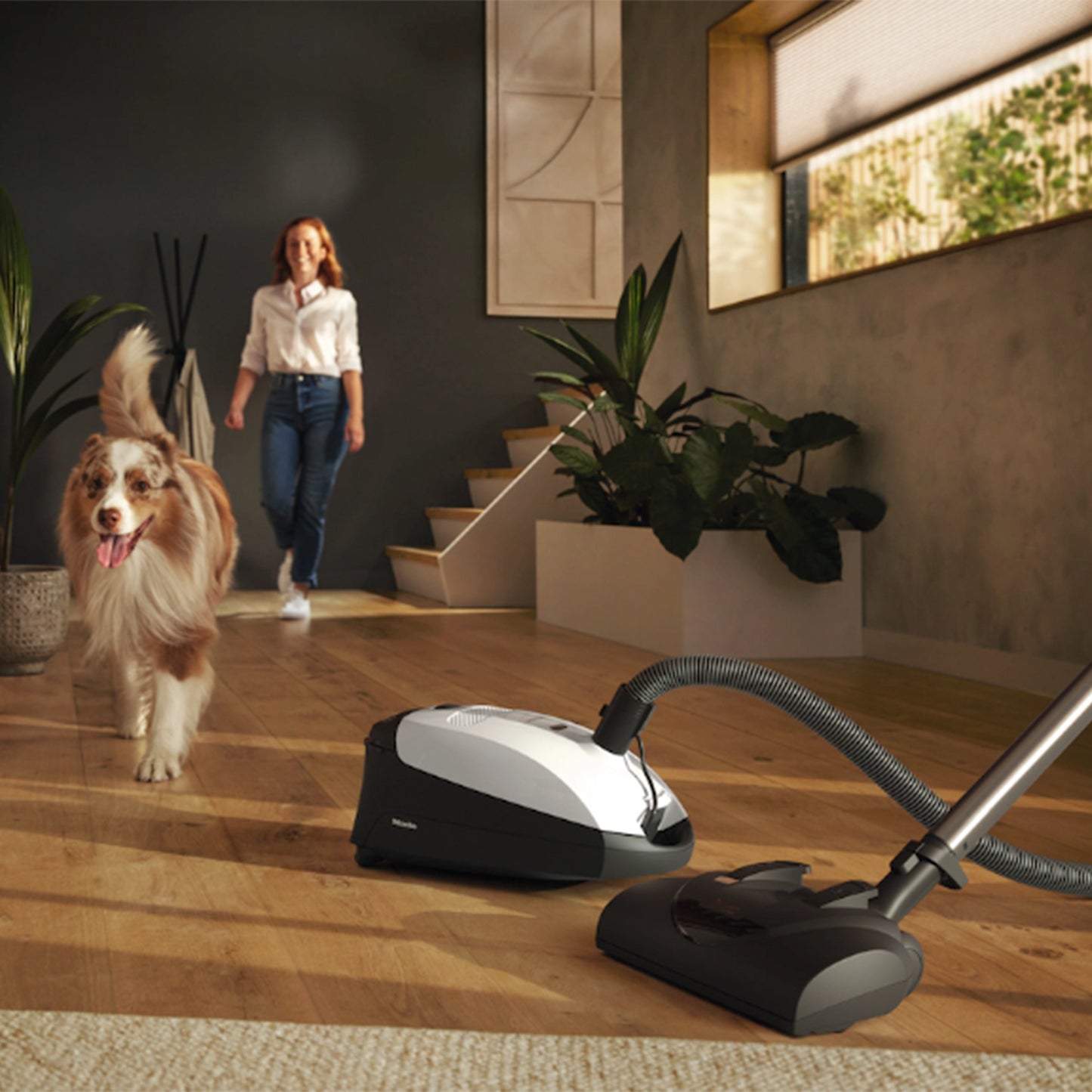 Classic C1 Cat & Dog PowerLine - SBBN0